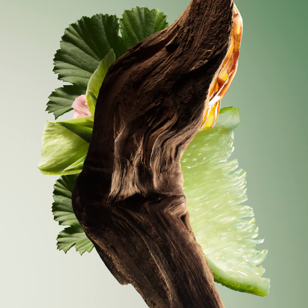 PRADA PARADIGME EAU DE PARFUM (SET DE FRAGANCIAS)